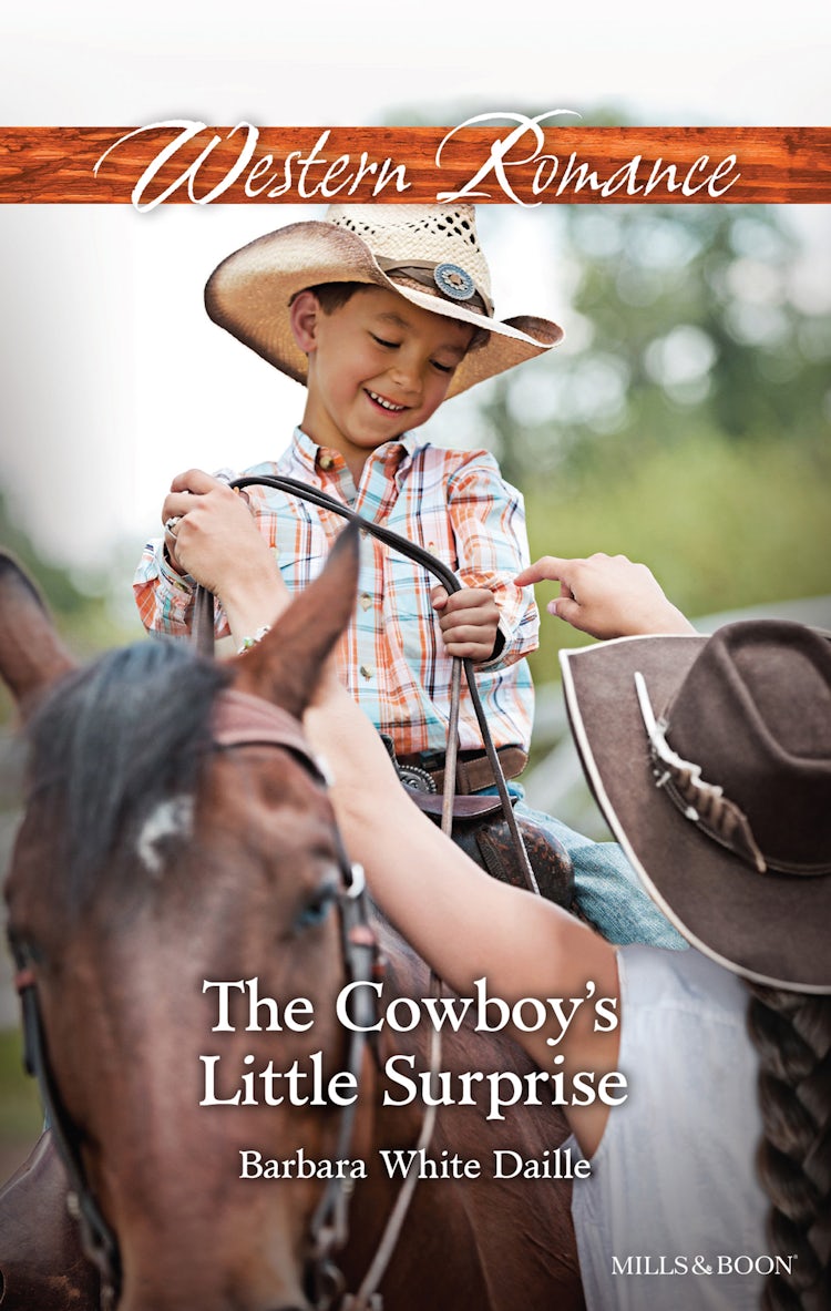 Cover image for The Cowboy's Little Surprise, isbn: 9781760375096