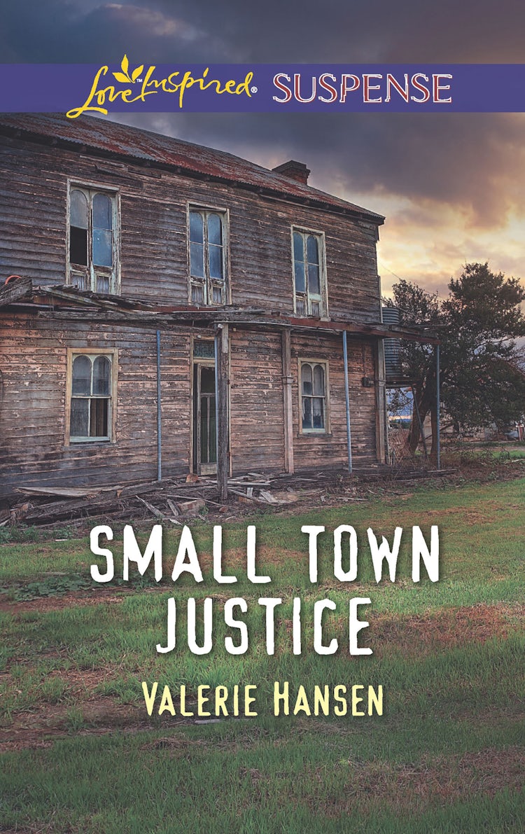 Cover image for Small Town Justice, isbn: 9781760375508