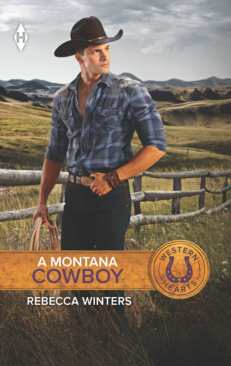 Cover image for A Montana Cowboy, isbn: 9781760376963