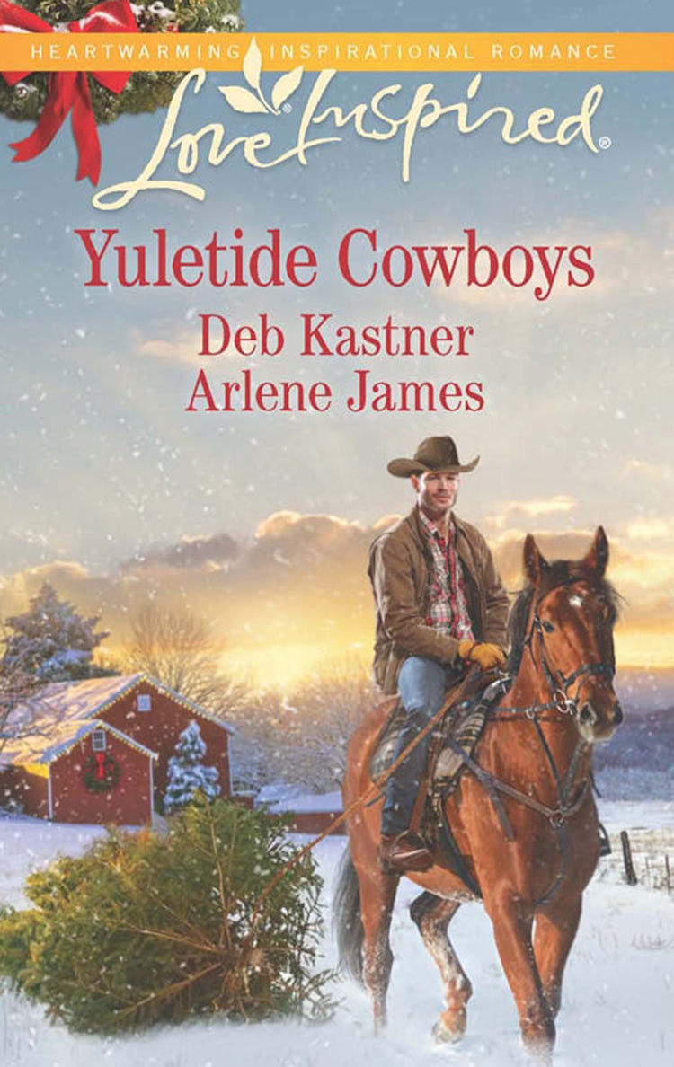 Cover image for The Cowboy's Yuletide Reunion/The Cowboy's Christmas Gift, isbn: 9781760379629
