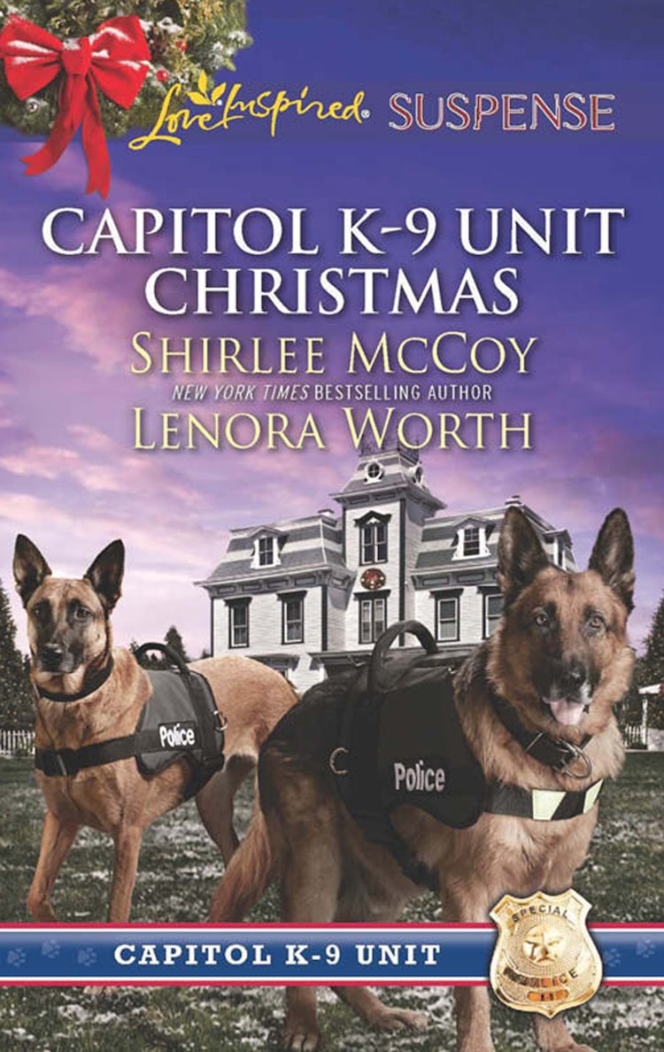 Cover image for Protecting Virginia/Guarding Abigail, isbn: 9781760379698