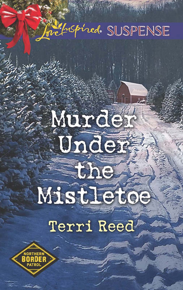 Cover image for Murder Under The Mistletoe, isbn: 9781760379704