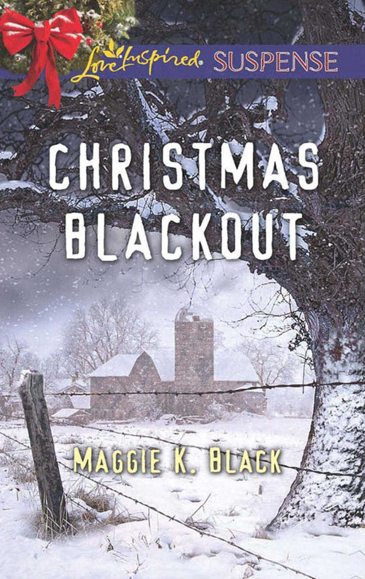 Cover image for Christmas Blackout, isbn: 9781760379735