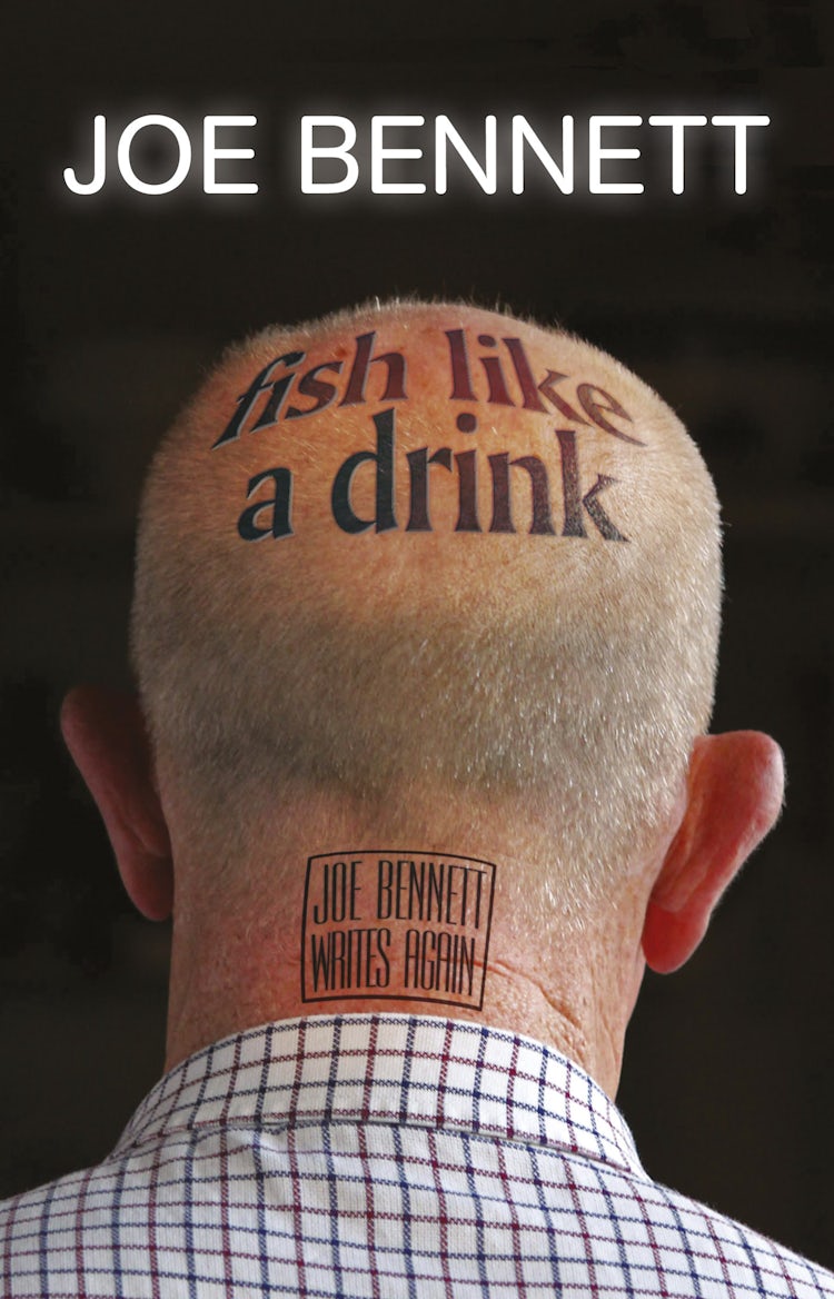 Cover image for Fish Like A Drink, isbn: 9781775490531
