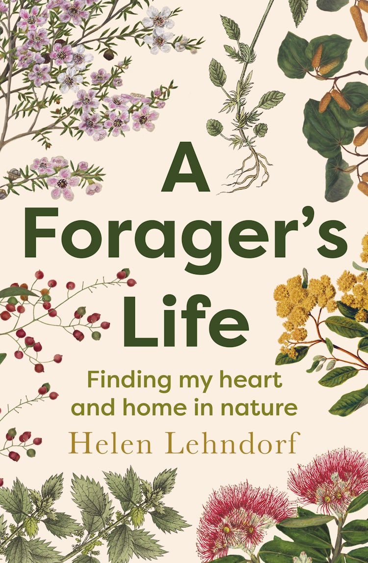 Cover image for A Forager's Life: A spellbinding debut memoir about plants, motherhood and belonging, isbn: 9781775492511