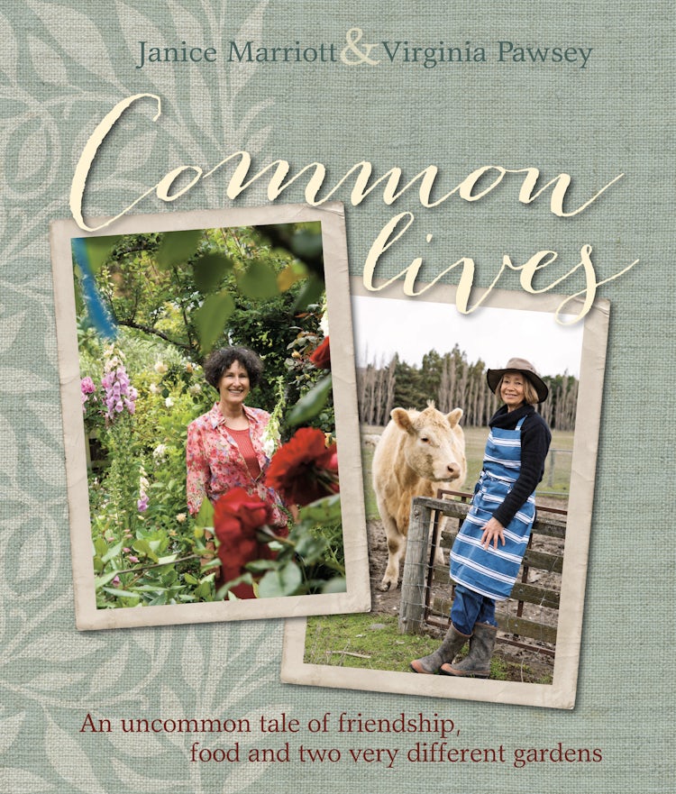 Cover image for Common Lives, isbn: 9781775540113