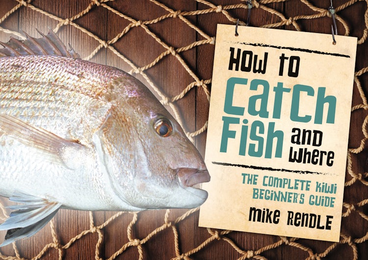Cover image for How to Catch Fish and Where, isbn: 9781775540137