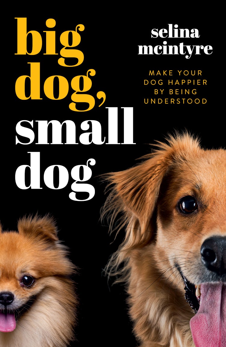 Cover image for Big Dog Small Dog, isbn: 9781775541615