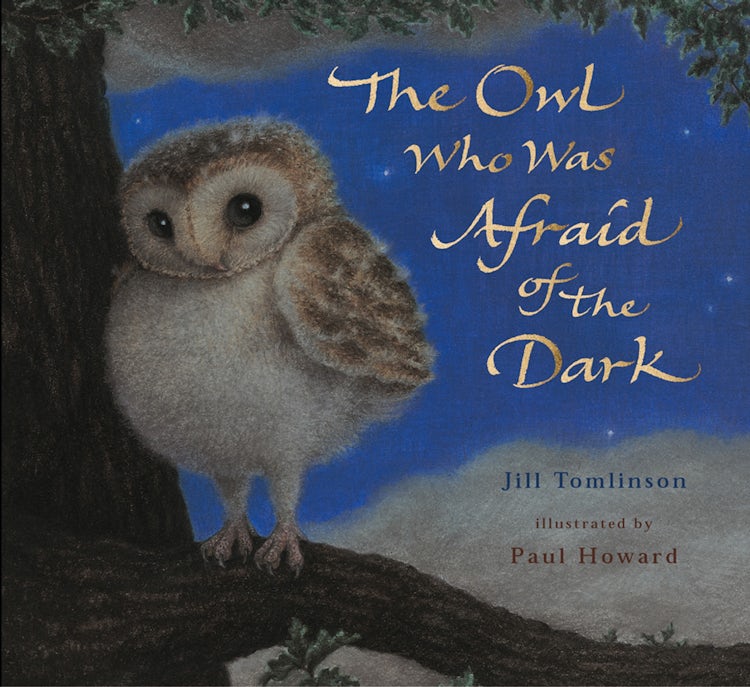 Cover image for The Owl Who Was Afraid of the Dark, isbn: 9781780310367