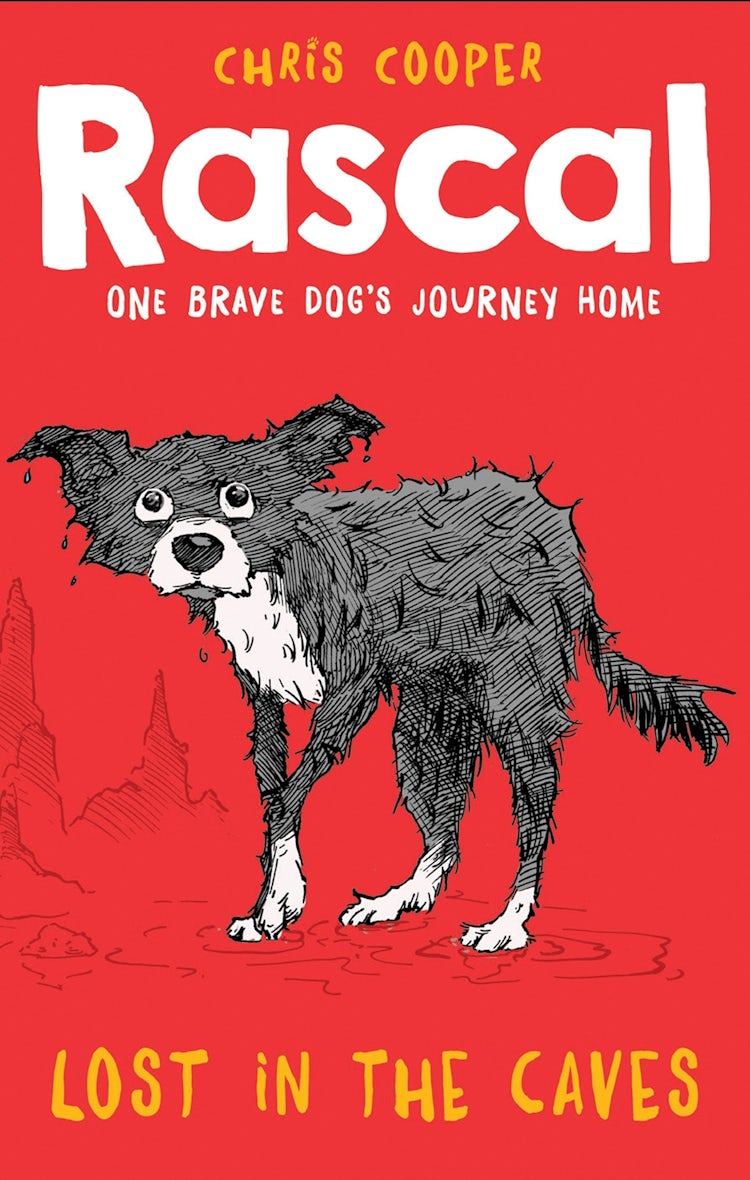 Cover image for Rascal: Lost in the Caves (Rascal), isbn: 9781780316666