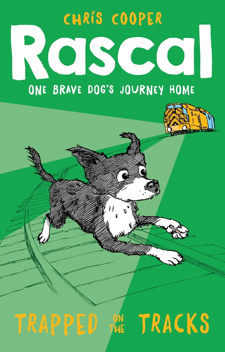 Cover image for Rascal: Trapped on the Tracks (Rascal), isbn: 9781780316697