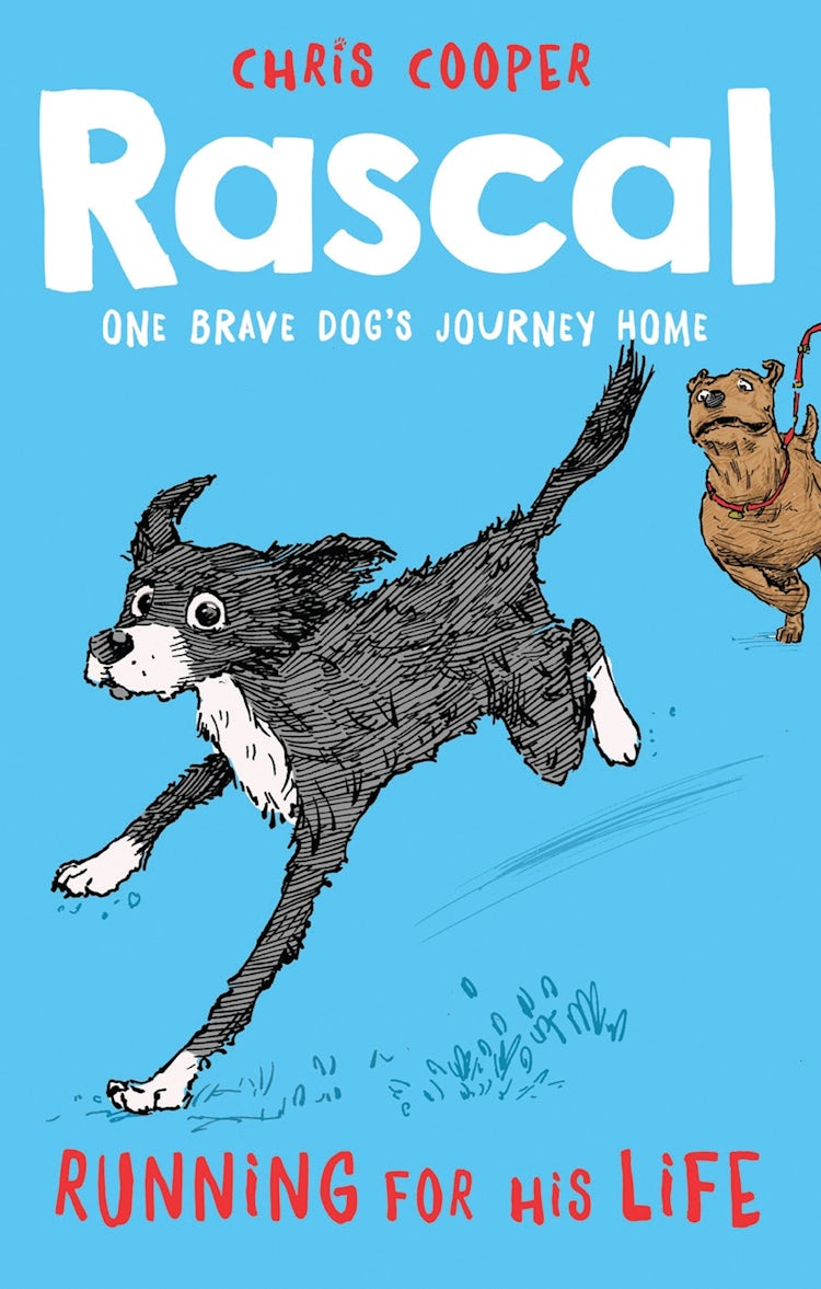 Cover image for Rascal: Running For His Life (Rascal), isbn: 9781780316703