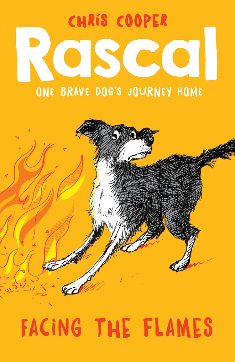 Cover image for Rascal: Facing the Flames (Rascal), isbn: 9781780316710