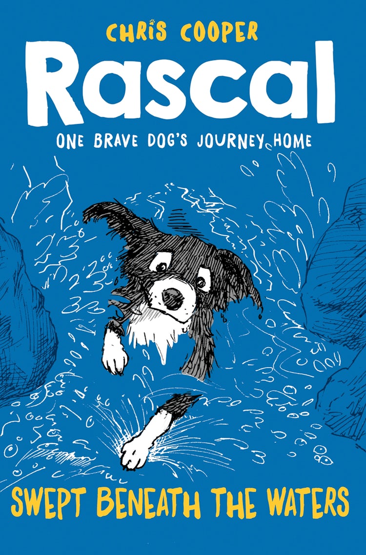Cover image for Rascal: Swept Beneath The Waters (Rascal), isbn: 9781780316727