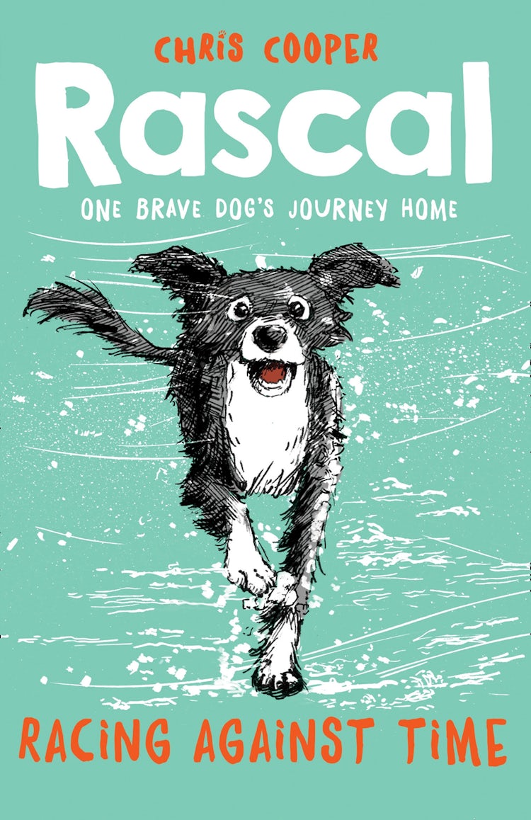 Cover image for Rascal: Racing Against Time (Rascal), isbn: 9781780316734