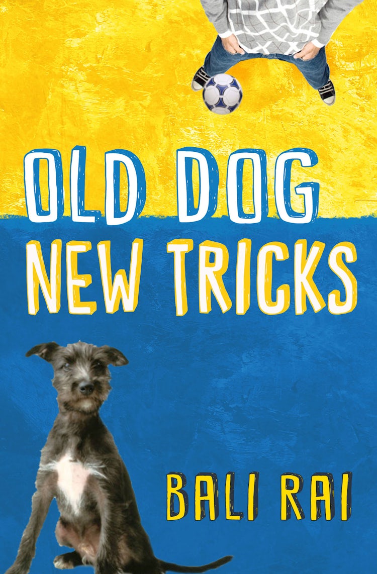 Cover image for Old Dog, New Tricks, isbn: 9781781123478