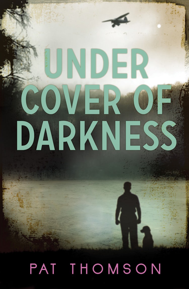 Cover image for Under Cover Of Darkness, isbn: 9781781123782