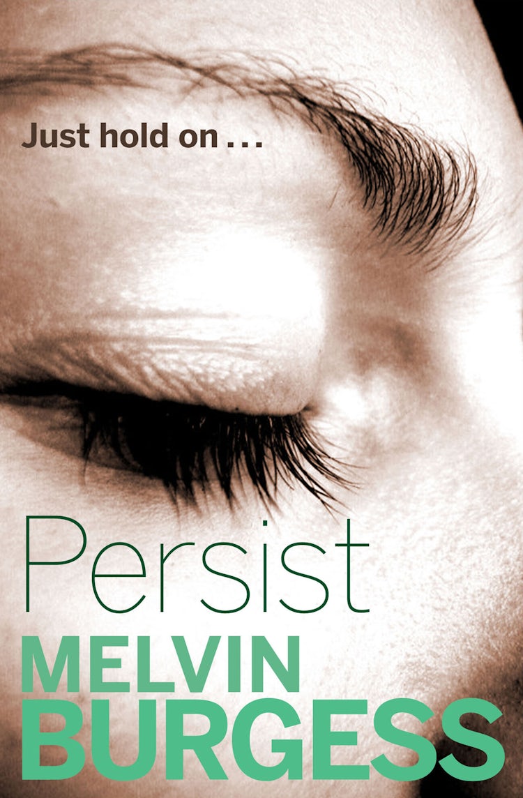 Cover image for Persist, isbn: 9781781124949