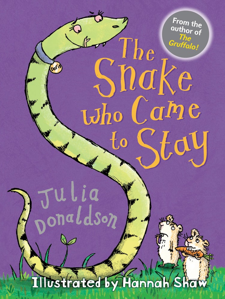 Cover image for Little Gems - The Snake Who Came To Stay, isbn: 9781781125748