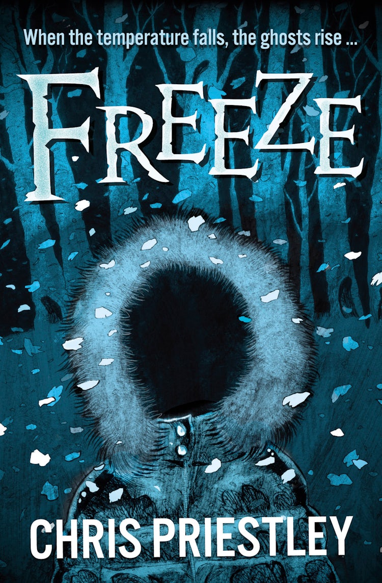 Cover image for Freeze, isbn: 9781781129838