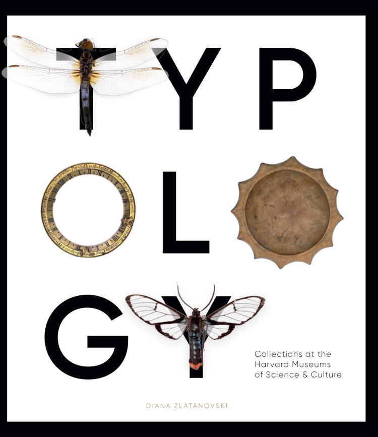 Cover image for Typology: Collections at the Harvard Museums of Science & Culture, isbn: 9781785512629