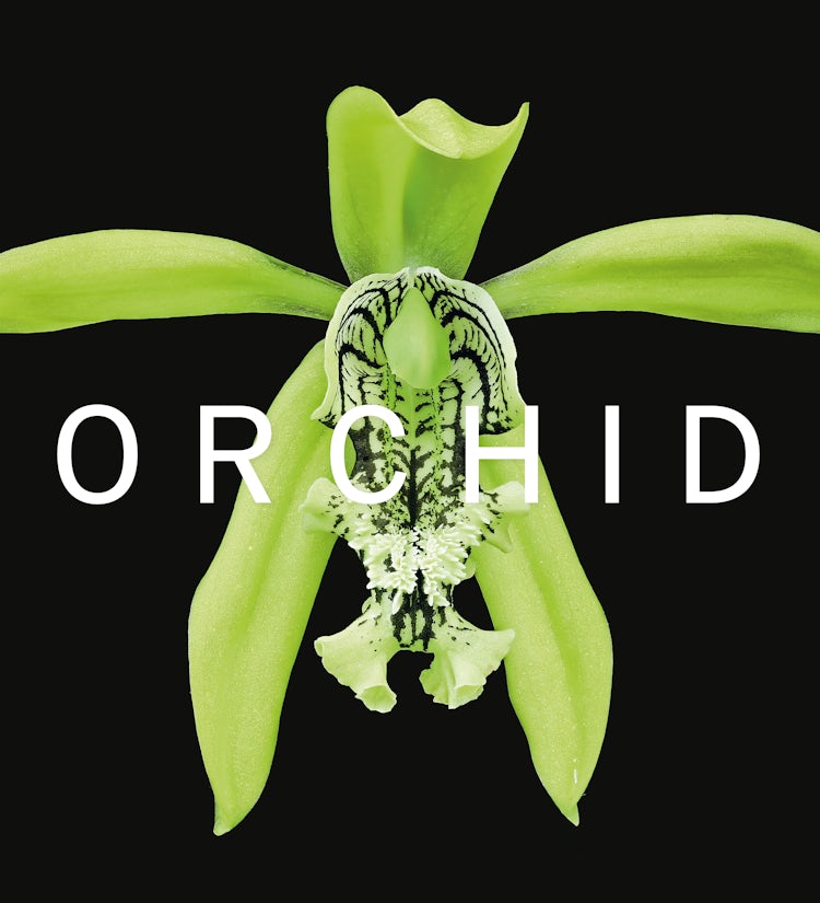 Cover image for ORCHID: Marie Selby Botanical Gardens, isbn: 9781785514432