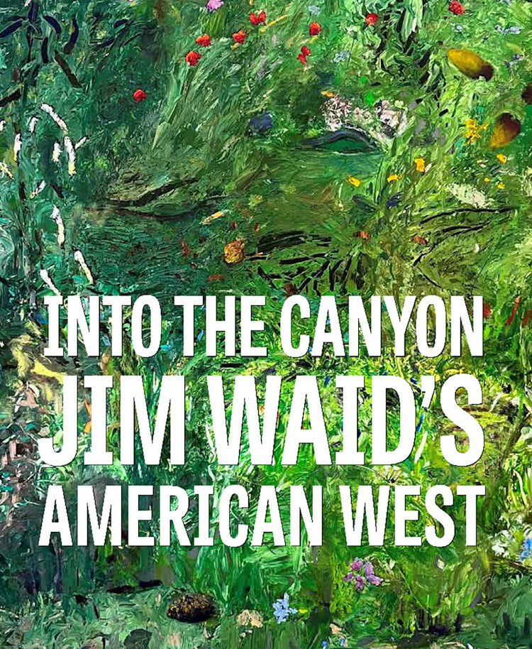 Cover image for Into the Canyon, isbn: 9781785516610