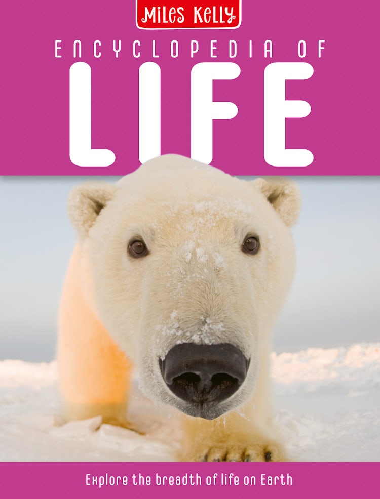 Cover image for ENCYCLOPEDIA OF LIFE, isbn: 9781786173270