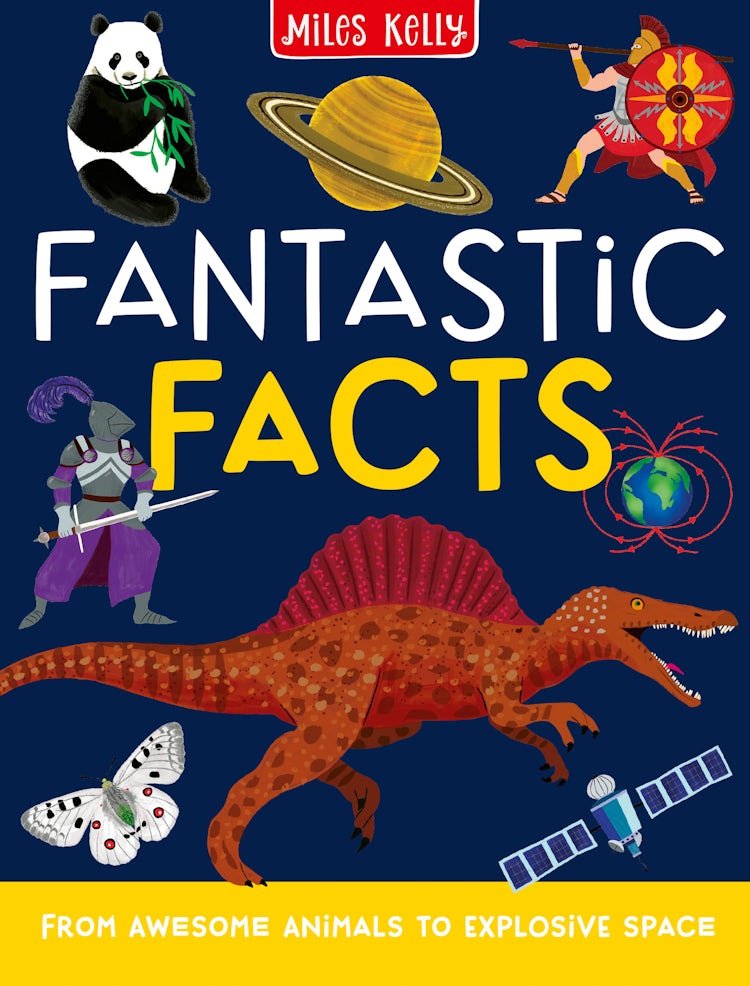 Cover image for FANTASTIC FACTS: From Awesome Animals to Explosive Space, isbn: 9781789890532