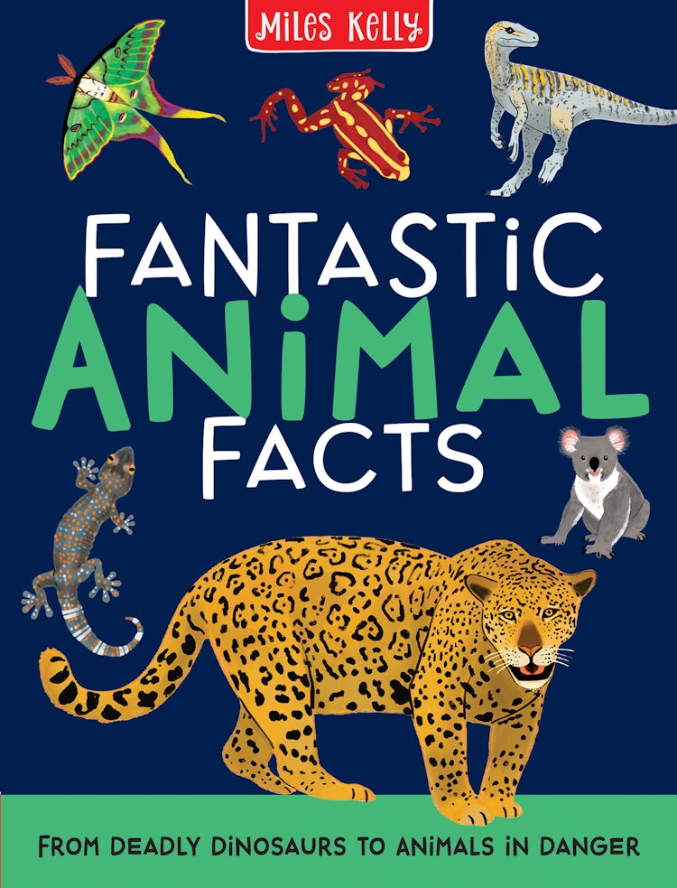 Cover image for FANTASTIC ANIMAL FACTS, isbn: 9781789890549