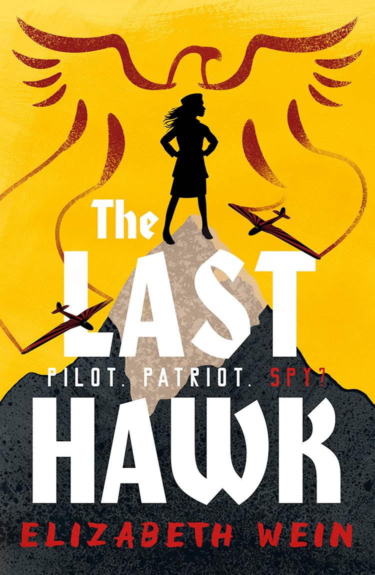 Cover image for The Last Hawk, isbn: 9781800900356