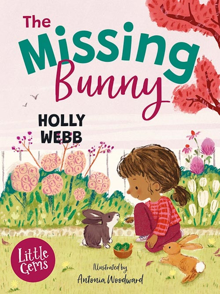 Cover image for The Missing Bunny, isbn: 9781800902411