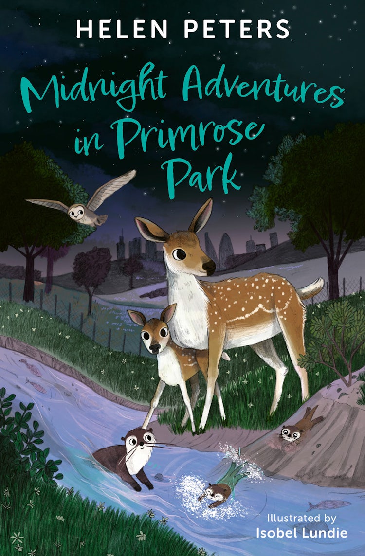 Cover image for Midnight Adventures in Primrose Park, isbn: 9781800902572