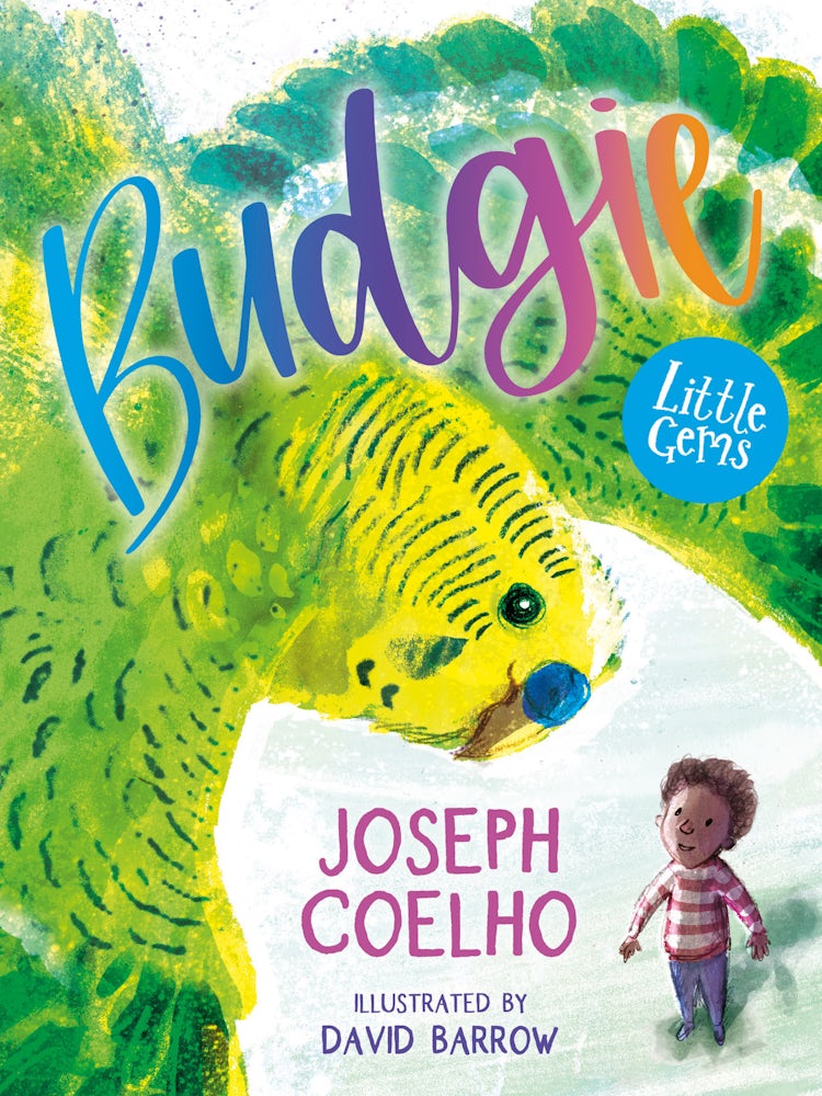 Cover image for Little Gems – Budgie, isbn: 9781800902688