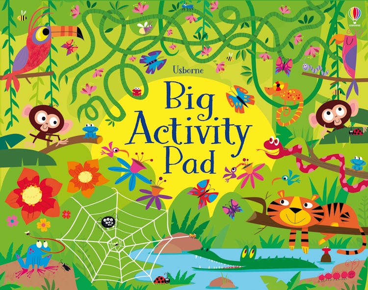 Cover image for Big Activity Pad, isbn: 9781801316590