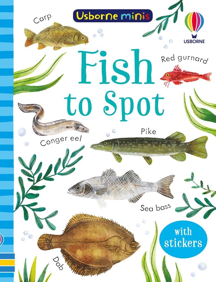 Cover image for Fish to Spot, isbn: 9781801317993