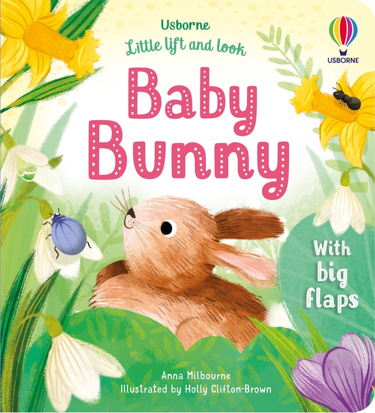 Cover image for Little Lift and Look Baby Bunny, isbn: 9781803701653