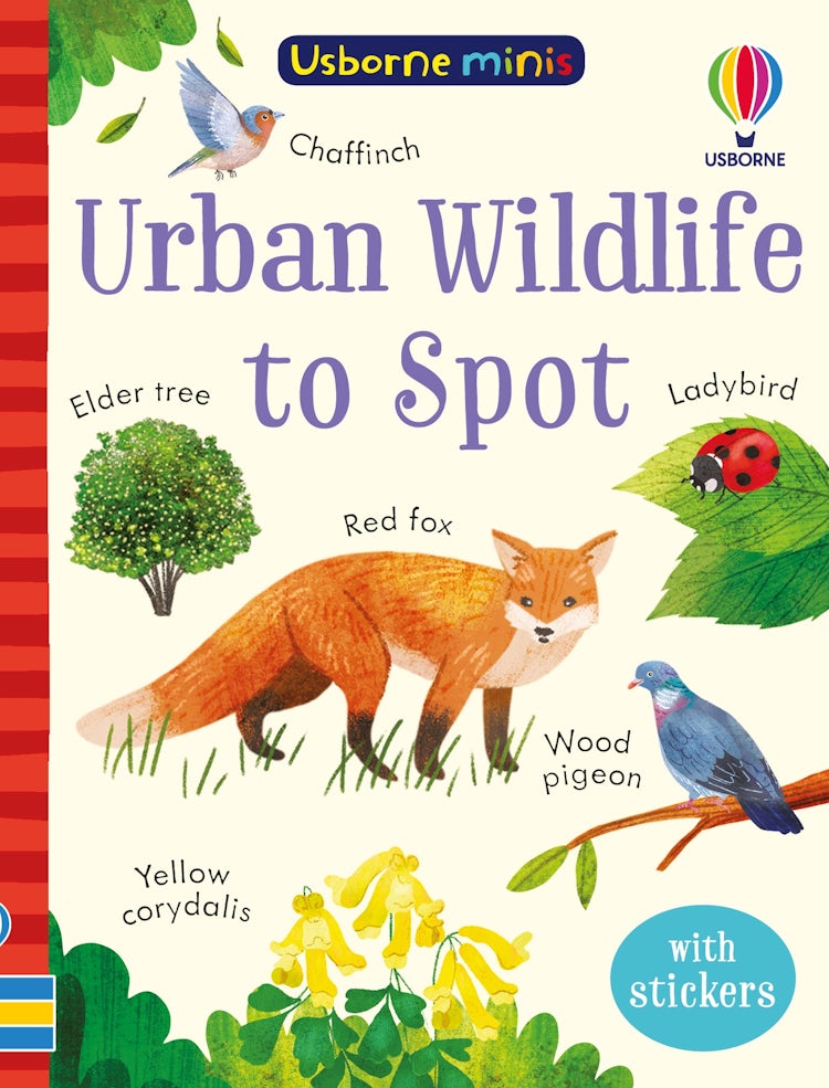 Cover image for Urban Wildlife to Spot, isbn: 9781803704746