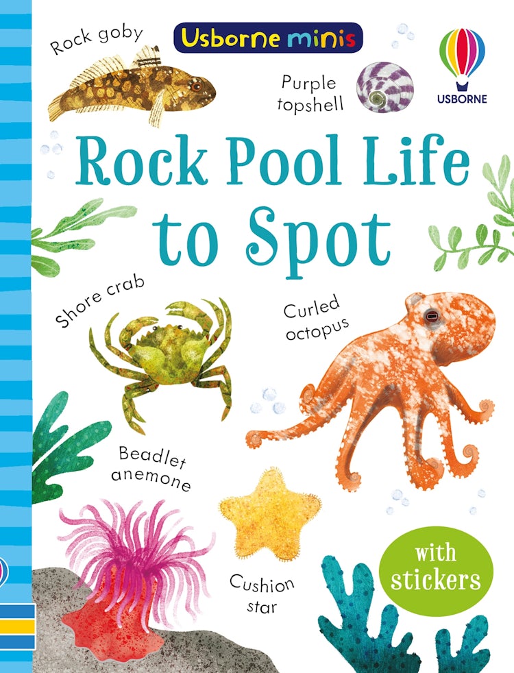 Cover image for Rock Pool Life to Spot, isbn: 9781803704753