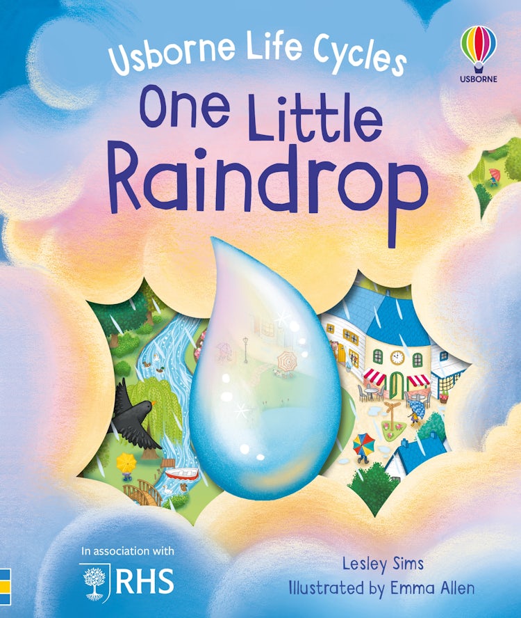 Cover image for One Little Raindrop: Usborne Life Cycles, isbn: 9781805072690