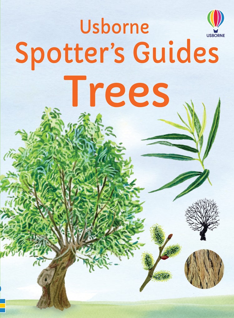 Cover image for Spotter's Guides: Trees, isbn: 9781805073000