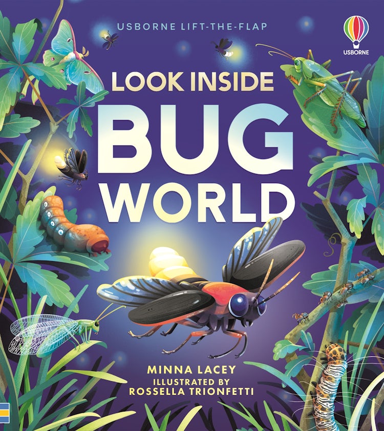 Cover image for Look Inside Bug World: Usborne Lift-the-flap, isbn: 9781805074076