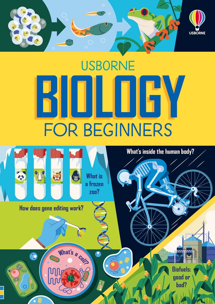 Cover image for Biology for Beginners, isbn: 9781805076612