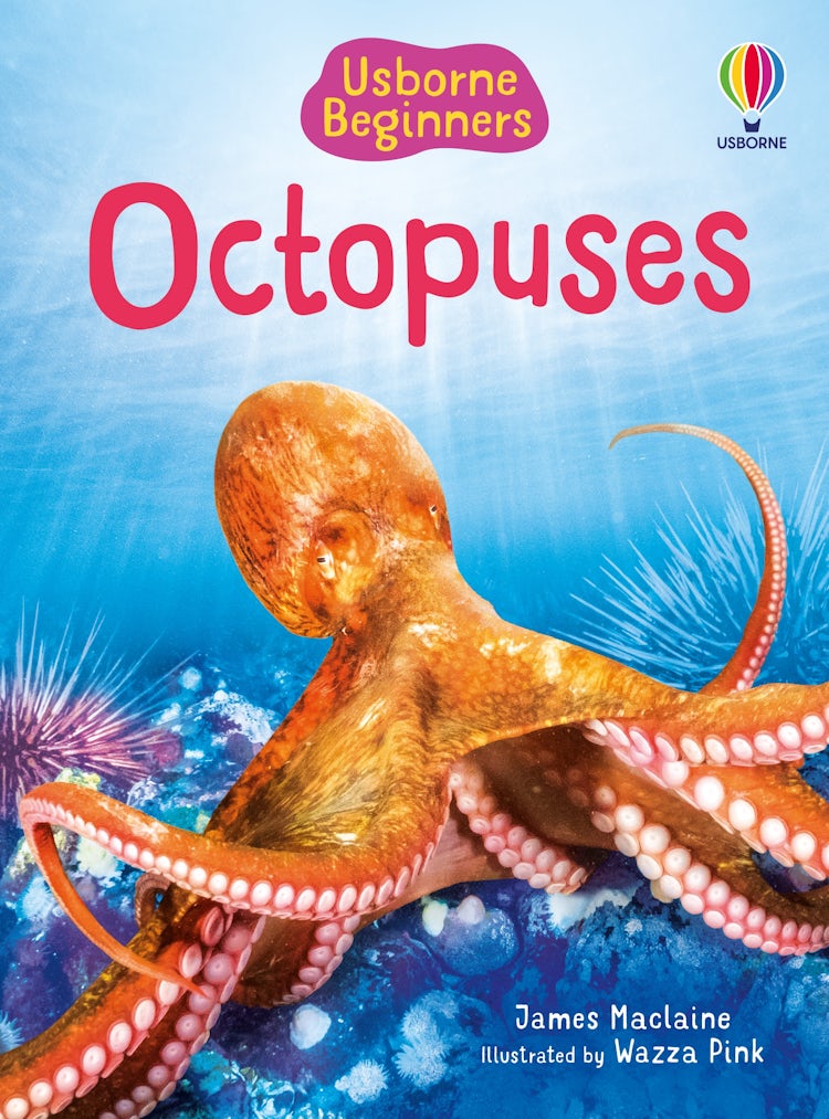 Cover image for Beginners Octopuses, isbn: 9781805079675