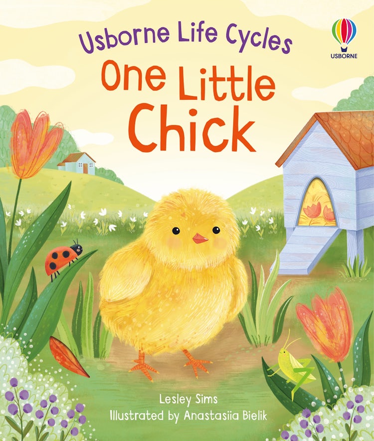 Cover image for One Little Chick, isbn: 9781805312253