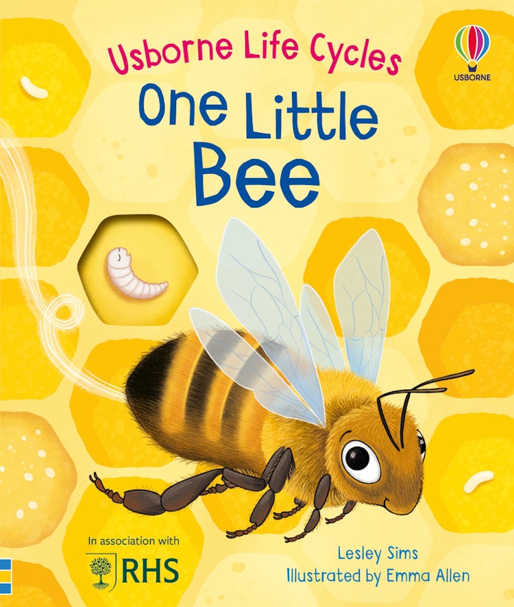 Cover image for One Little Bee, isbn: 9781805312628