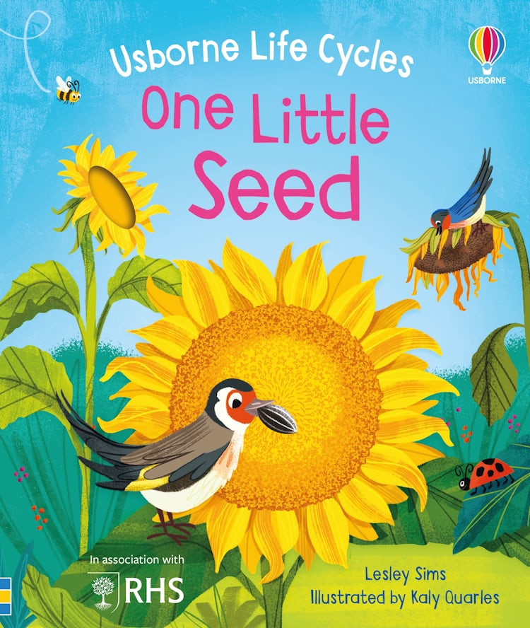 Cover image for One Little Seed, isbn: 9781805312635