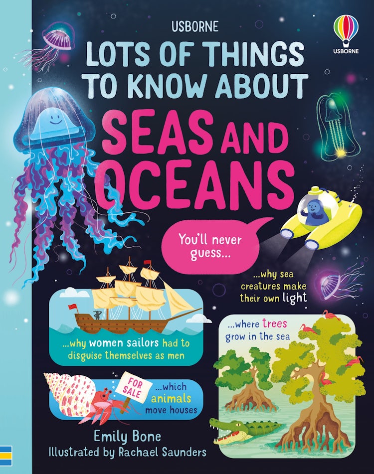 Cover image for Lots of Things to Know About Seas and Oceans, isbn: 9781805319856
