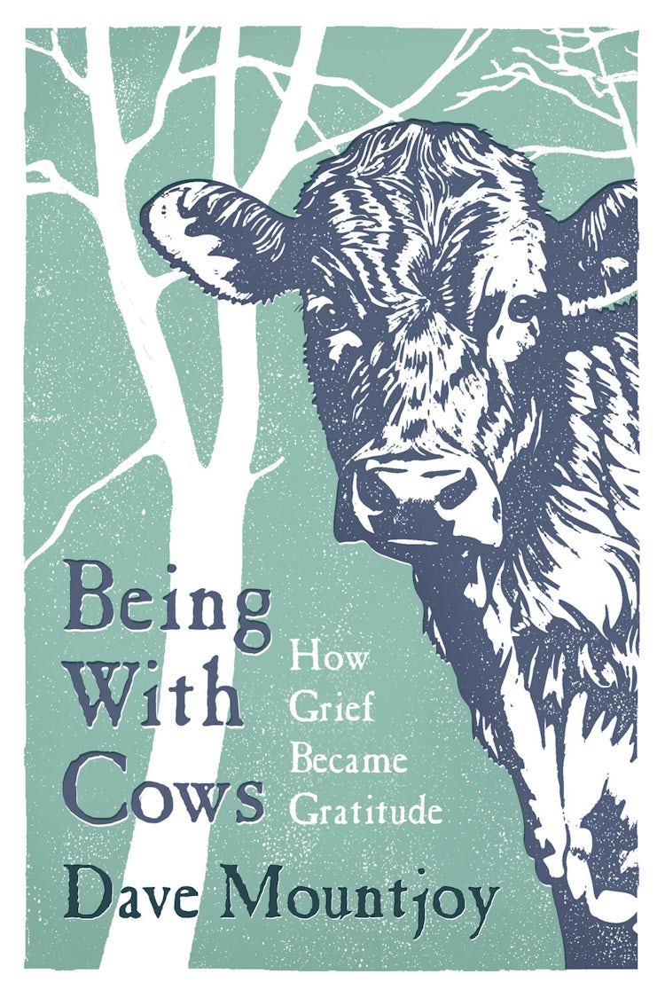 Cover image for Being With Cows, isbn: 9781835010341