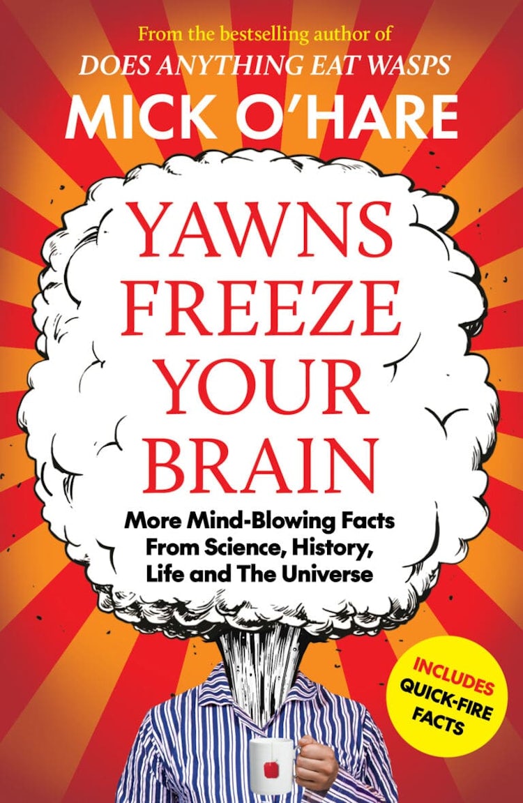 Cover image for Yawns Freeze Your Brain, isbn: 9781835011409
